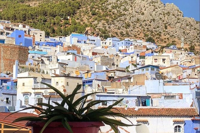 Tetouan & Chefchaouen Blue City Day Trip from Tangier - How to Make the Most of Free Time Without Losing the Day