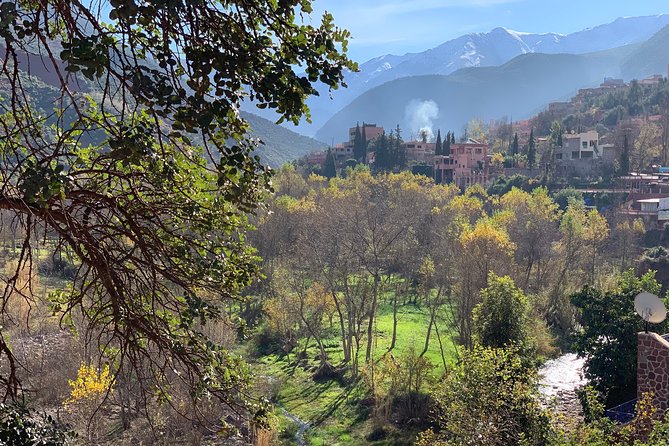 The Atlas Mountains and 5 Valleys Day Trip from Marrakech with Berber Lunch - Price and value: what $91.89 buys you in a single day