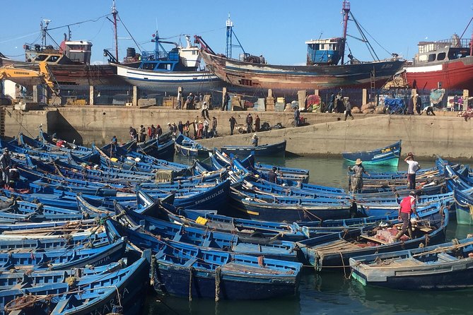 The Charms of Essaouira Mogador and the Argan tree Forests - Key highlights