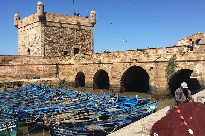 The Charms of Essaouira Mogador and the Argan tree Forests - UNESCO medina walk: white-and-blue streets without getting lost