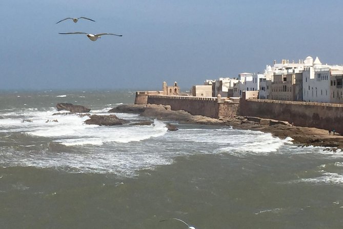 The Charms of Essaouira Mogador and the Argan tree Forests - The small-group advantage (max 7) and what your guide actually does