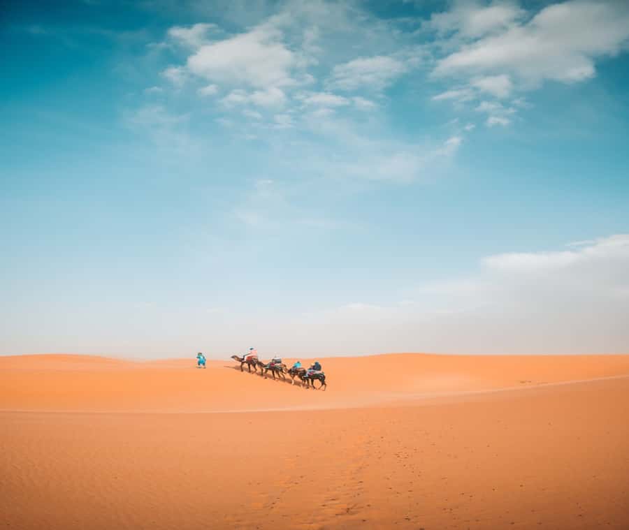 the luxury 2days 1night desert tour from fez to fez/marakech - Key takeaways before you go