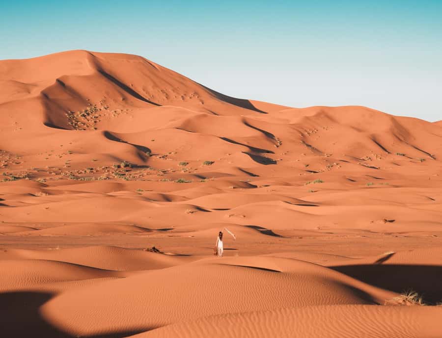 the luxury 2days 1night desert tour from fez to fez/marakech - Camel Ride Reality Check: Timing, Comfort, and Getting the Best Light