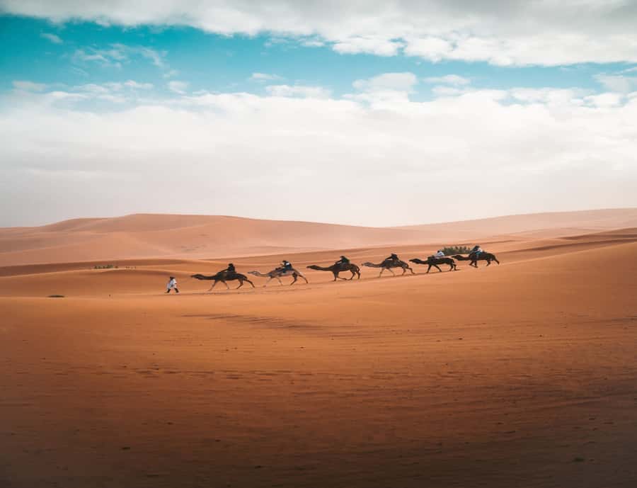 the luxury 2days 1night desert tour from fez to fez/marakech - Transportation and Guides: Why the Driver Can Make or Break It