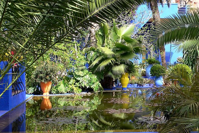 The Majorelle Garden with ticket and the palm grove on camelback - Key things to know before you go