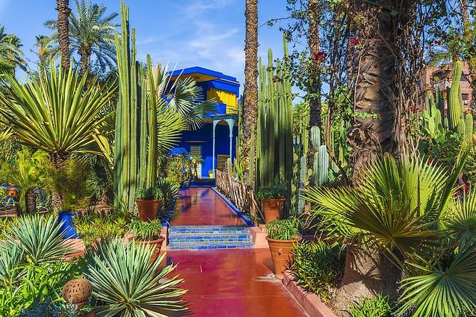 The Majorelle Garden with ticket and the palm grove on camelback - Jardin Majorelle: Jacques Majorelle’s Design, Plus the Yves Saint Laurent Connection