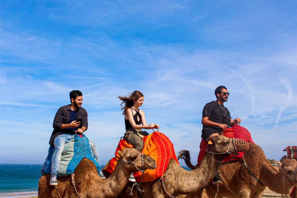 The North of Morocco in 3 Days ; Including Fes - Day 2: Fes as the spiritual center, paced with a full guided visit