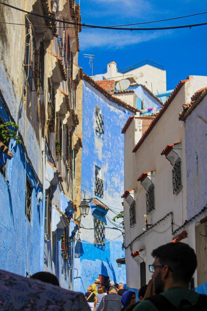 The North of Morocco in 3 Days ; Including Fes - Who this trip suits best (and who might want a slower plan)