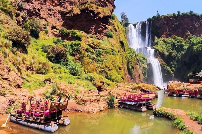 The Ouzoud Waterfalls: Day Trip from Marrakech - Getting there from Marrakech: shared van value and comfort