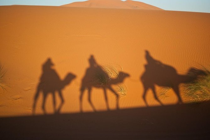 The Private 2 days Desert Tour Fez To Merzouga - Day 1: From Fez Through Immouzer, Ifrane, and the Cedar Forest