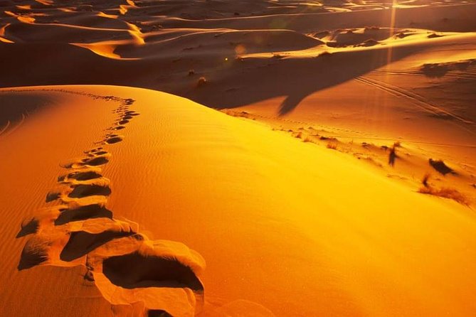 The Private 2 days Desert Tour Fez To Merzouga - Final Call: Should You Book It?