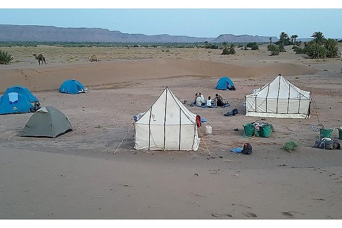 The secret of the camel trekking desert - Key takeaways before you go