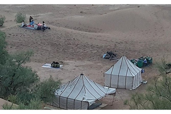 The secret of the camel trekking desert - Day 2 to Day 3: from M’hamid to Ras N’Khal, then Erg Aït Ounir