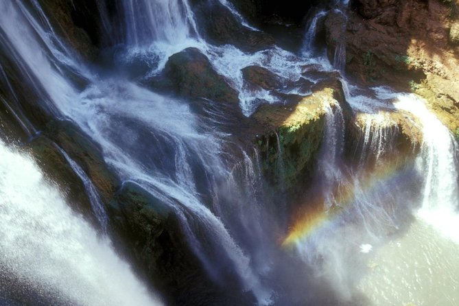 The waterfalls of Ouzoud - The 2-hour forest hike: where the day turns scenic (and physical)