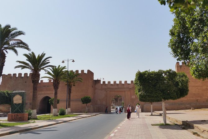 Tiout Taroudant Day Trip From Agadir - Tiout Oasis donkey ride: palm shade and a slower pace