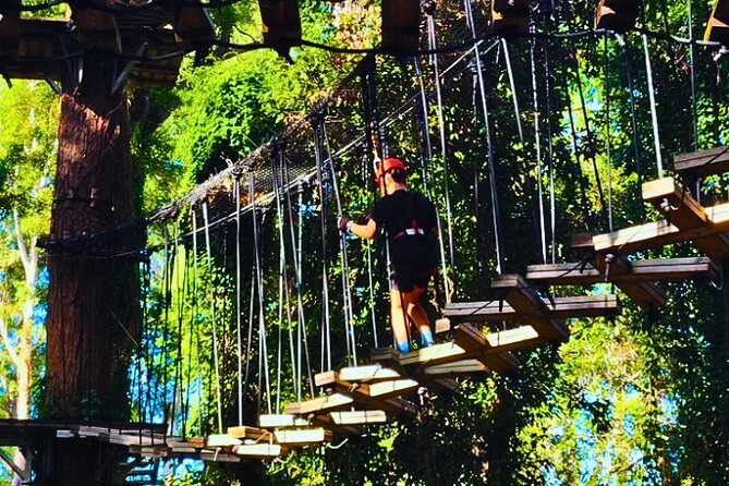 Top Rated Atlas Mountains Zipline from Marrakesh - The Argan Oil Cooperative Stop: Liquid Gold With a Human Story