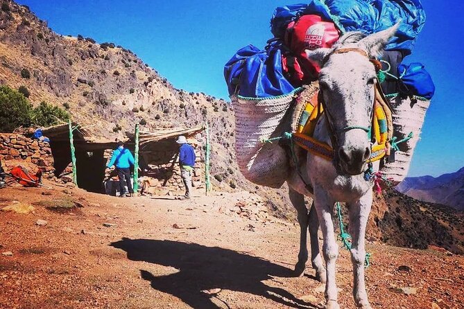 Toubkal Ascension 2 Days - How guides, mules, and food shape your real experience