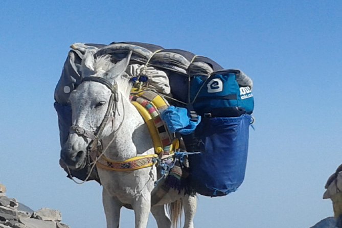toubkal ascent from Marrakech 2 Days - Why This Mount Toubkal Trek Makes Sense From Marrakech