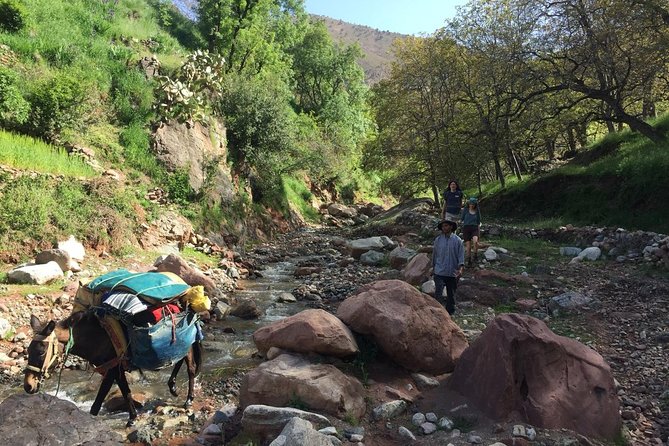 Toubkal ascent in two days, private trip - Day 2: Summit push, ridge views, and the downhill return to Imlil