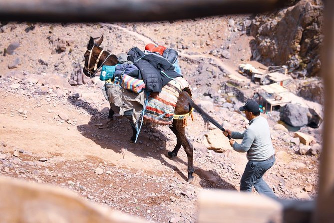 Toubkal Trekking 2 Days - Who This Trek Really Suits (and Who Might Want a Different Plan)