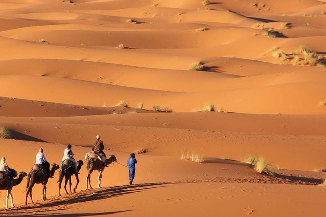 Tour 3 Days 2 Nights To Merzouga Desert from Marrakech - Ait Ben Haddou: UNESCO Kasbah That Actually Feels Alive