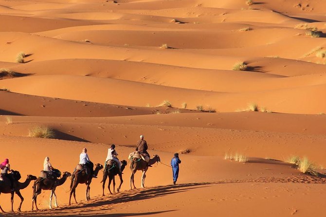 Tour 3 Days 2 Nights To Merzouga Desert from Marrakech - Starting in Marrakech: Pickup, Timing, and The Real-World Start Time