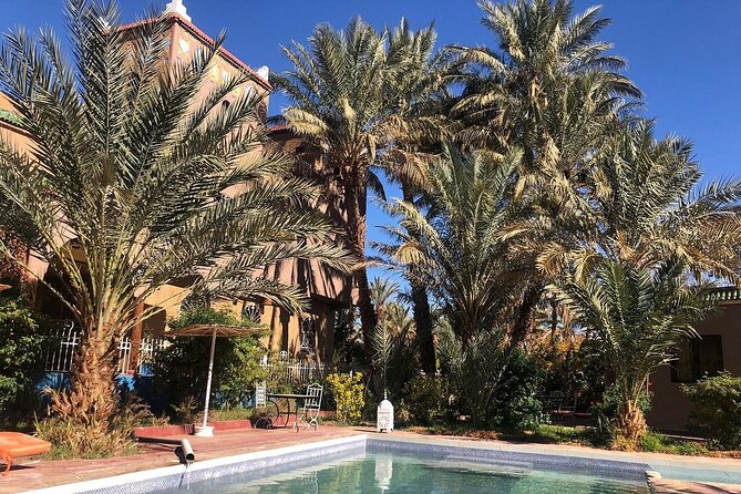 Tour from Ouarzazate to Vallee Du Draa and Dunes Of Tinfou - How The Day Trip Feels: Private, Comfortable, and Busy (In a Good Way)