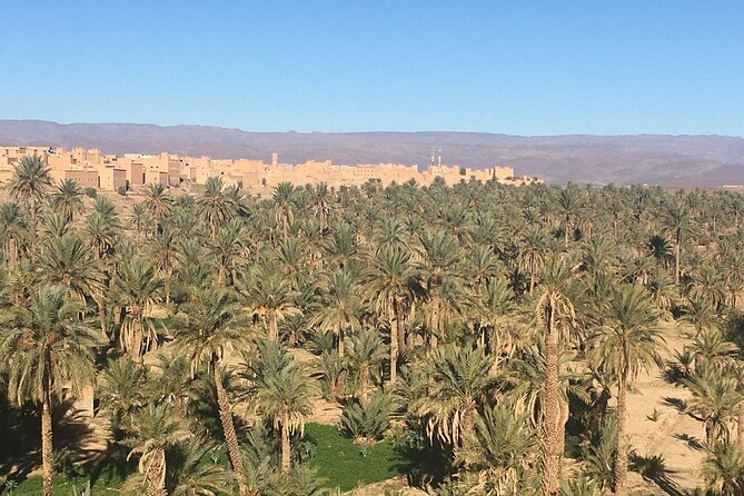 Tour from Ouarzazate to Vallee Du Draa and Dunes Of Tinfou - Tinfou Dunes: The One-Hour Camel Ride That Makes the Whole Trip Worth It