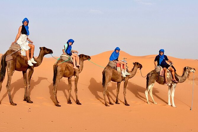 Tour from Ouarzazate to Vallee Du Draa and Dunes Of Tinfou - Who Should Book This Draa Valley and Tinfou Dunes Day Trip