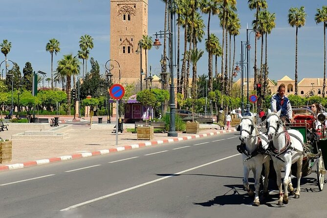 tour of marrakech-medina, souks, secret gardens,Madrassa& stories - The Spice and Argan Oil Stop: More Than a Shop Stop