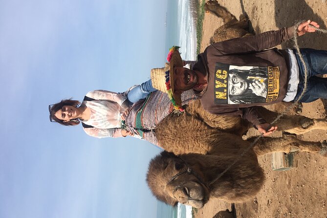 Tour of Tangier 1-2 people with camel ride - Who should book this Tangier camel-and-casbah tour