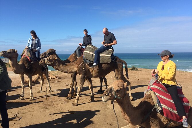 Tour of Tangier 3-6 people - Price and Value: Why $279 Per Group Can Make Sense