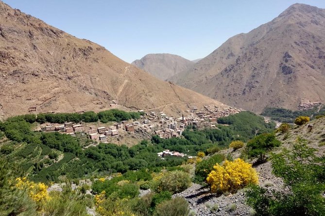 Trekking in Morocco / Atlas Mountains and Sahara Trek (5days) - Overnight camel segment and Erg Chebbi camp: the Sahara payoff
