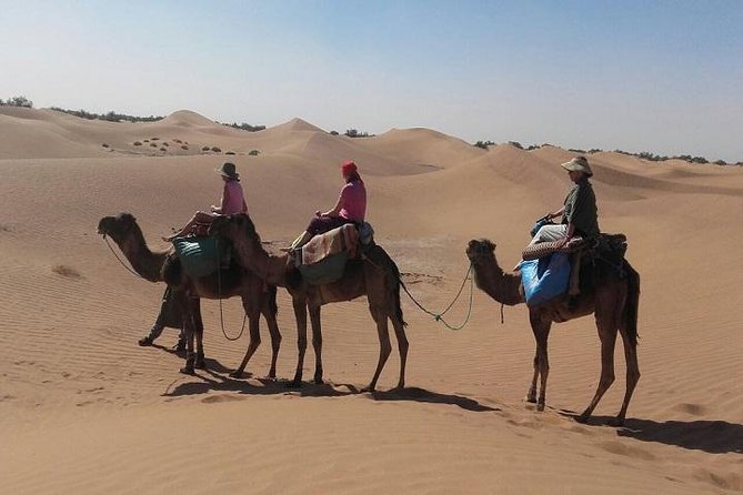 Trekking in Morocco / Atlas Mountains and Sahara Trek (5days) - Price and what you actually get for $576.88