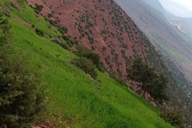 Trip 3 Valleys & HIGH Atlas Mountains - Who this is best for (and who should skip)