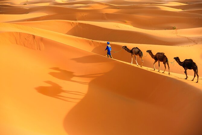 trip of your dreams in 3 days and 2 nights in the desert - Todra Gorge to Merzouga: palms, gorges viewpoints, and the ride into dune country