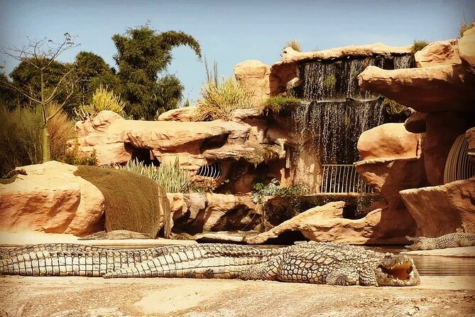 Trip To Croco Park - How Long to Spend in the Park (Without Overthinking It)