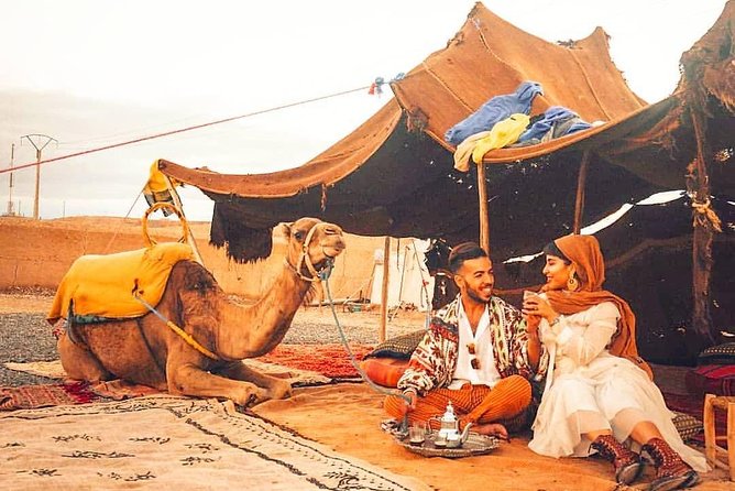 Ultimate Marrakech Desert Adventure: Camel Rides & Buggy Thrills - Key Highlights You’ll Feel Right Away