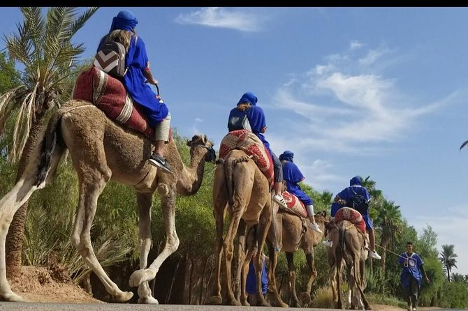 Ultimate Marrakech Desert Adventure: Camel Rides & Buggy Thrills - Getting Out of Marrakech: Pickup, the Quick Drive, and Atlas Views