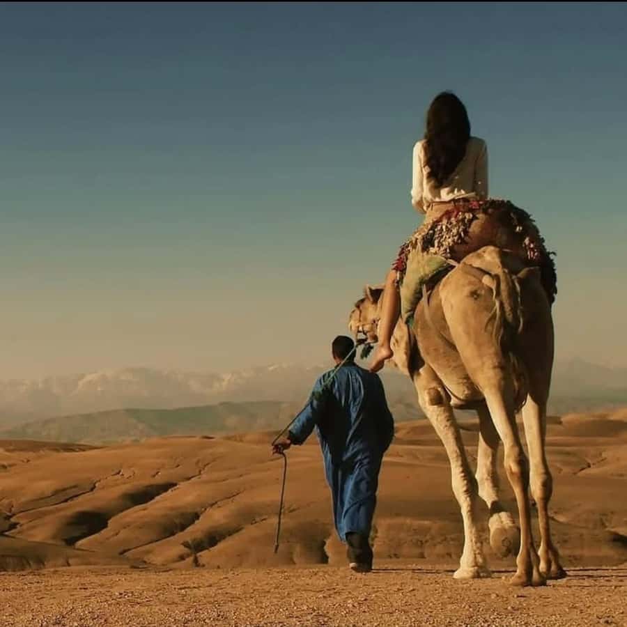 Unforgettable Desert Night: Dinner, Camel Ride & Quad Bike - The fire show: a real closing act