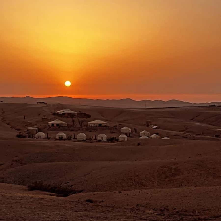 Unforgettable Desert Night: Dinner, Camel Ride & Quad Bike - Private haima overnight: comfort level and what to pack