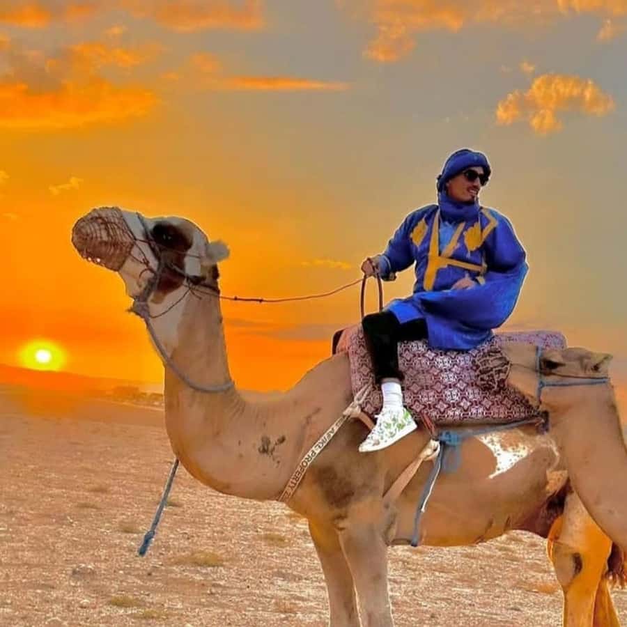 Unforgettable Desert Night: Dinner, Camel Ride & Quad Bike - Price and value: is $148 per person fair?