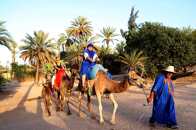 VIP tour Casablanca to Marrakech: Luxury Day of History & Culture - The extras you might want (and what’s not included)