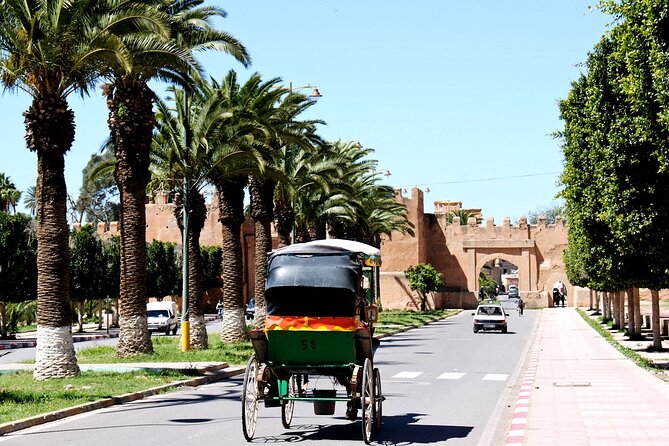 Visit Taroudant and Tiout 1 day From Agadir - Why Taroudant and Tiout Work So Well From Agadir