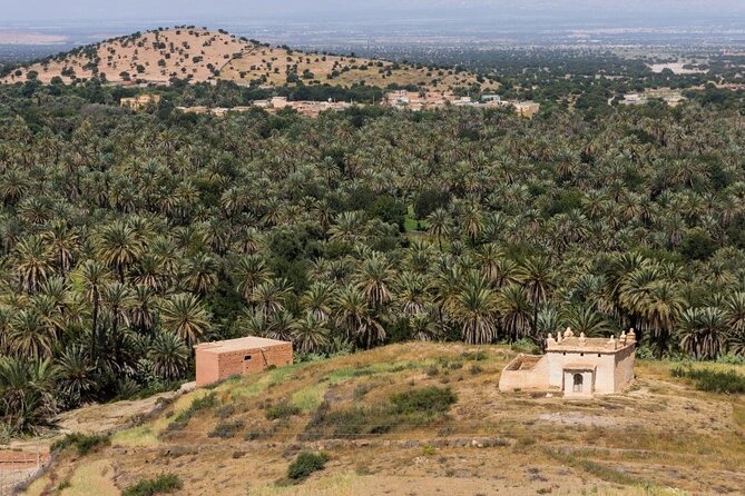 Visit Taroudant and Tiout 1 day From Agadir - Asarag Square and Those Quick Stops That Add Fun