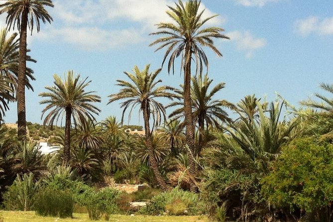 Visit the Oasis & Tea at the basket maker. - Key highlights