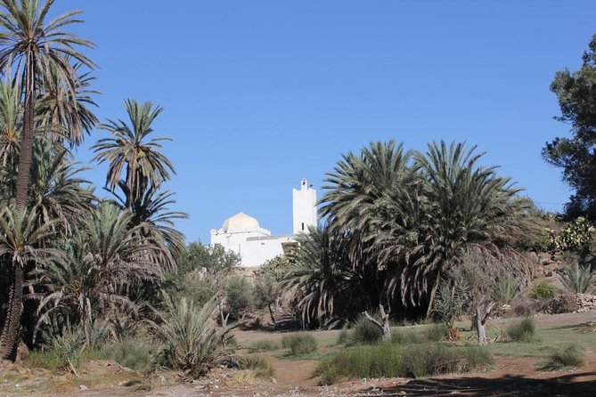 Visit the Oasis & Tea at the basket maker. - The viewpoint over the oasis and the millstone details
