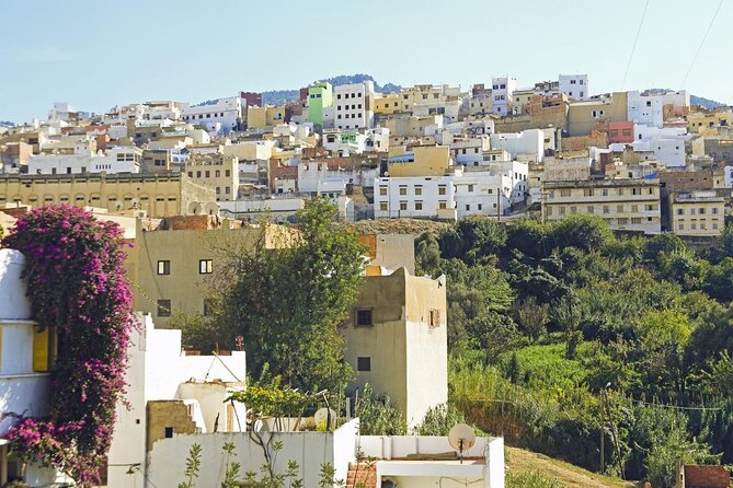 Volubilis, Meknes, Moulay Idriss: Full Day Private Tour from Fes, Morocco - Moulay Idriss Zerhoun: a holy hill town with the green-tiled Sentissi Mosque