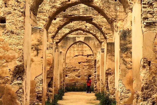 Volubilis, Moulay Idriss & Meknes Excursion from Fez - Meknes: UNESCO city time, plus what to do if parts are under renovation