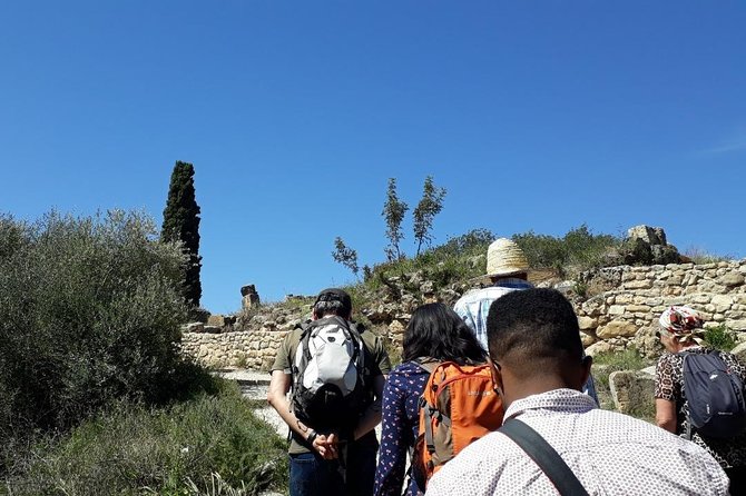 Volubilis mulay idriss and meknas tour - Meknes Medina Highlights: Berdaïne Bab, Moulay Ismail, and Bab Mansour El